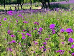 -杭州城北体育公园