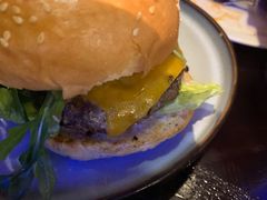 -bluefrog蓝蛙(皇庭广场店)