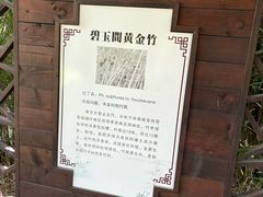 -苏州上方山国家森林公园