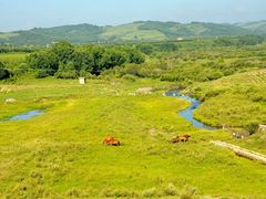 -塞罕坝国家级自然保护区