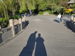 -文瀛公园
