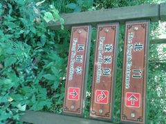 android_upload_pic-府山公园