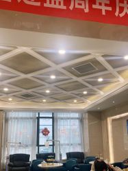 -碧莲盛·不剃发植发