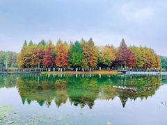 -阳澄湖费尔蒙酒店