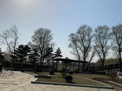-蒲河岛湿地公园