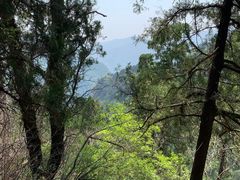 -北京上方山国家森林公园