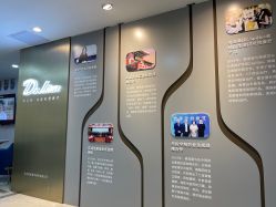 -碧莲盛不剃发植发