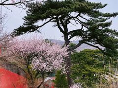 -妙峰山风景名胜区