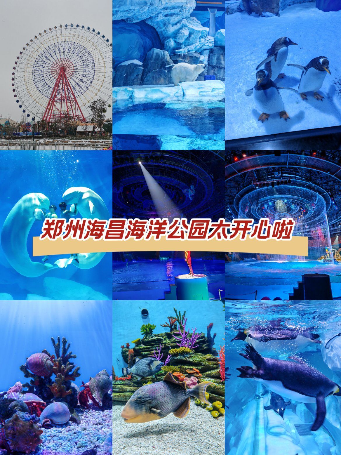 郑州海昌海洋公园太欢乐啦