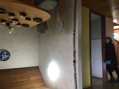 -金山农民画村-枫泾波兰倒置屋