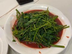 -海金滋(陕西南路店)
