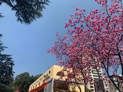 -昆明动物园