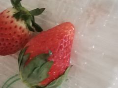 -果唯伊(共和新路店)