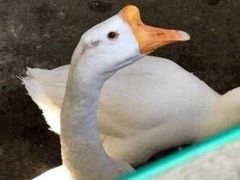 -九大簋家宴(北京路店)