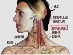 -名医堂永康中医·推拿正骨·针灸·艾灸