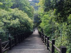 -树山生态村