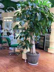 -艺米阳光Hair Salon