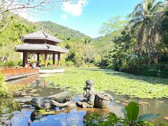 -亚龙湾热带天堂森林公园
