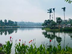-枫香湖儿童公园
