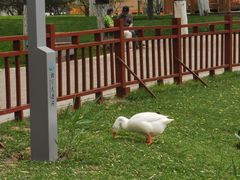 -大运河源头遗址公园