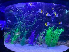 -多彩贵州城极地海洋世界