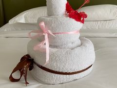 -三亚海棠湾万丽度假酒店