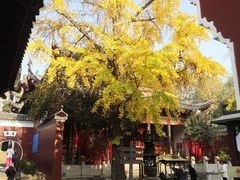 -长春观