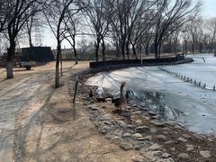 -蓝地时尚庄园(北京清河营地铁站店)
