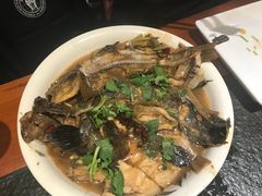 -苏大嘴海鲜牧场(奥林匹克店)