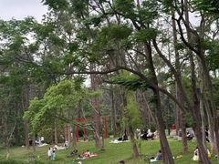 -金山植物公园