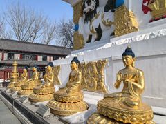 -护国法轮寺