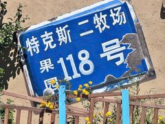 -特克斯八卦城
