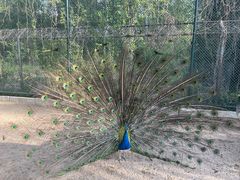 -秦皇岛野生动物园