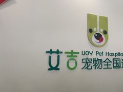 -艾吉宠物医院·疑难杂症转诊中心·猫友好(碧江路院)