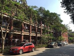 -猫咪博物馆(顶澳仔猫街店)