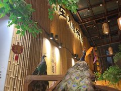 -大理董·董家小厨野生菌火锅(古城旗舰店)