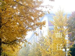 -山东农业大学(岱宗校区)