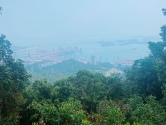 -梧桐山风景名胜区