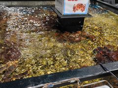 -盒马鲜生(曜一城店)