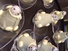 郑州美盛喜来登酒店盛宴标帜餐厅自助餐-美盛喜来登大酒店-盛宴标帜餐厅