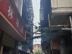 -秋水广场音乐喷泉