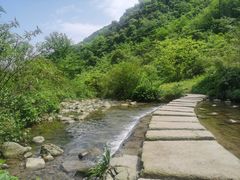 -龙窝子