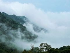 -少华山国家森林公园