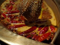 -小龙坎火锅(春熙太古里店)