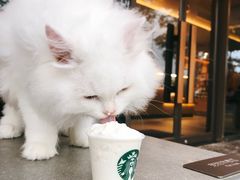 -星巴克(珠海仁恒滨海中心店)
