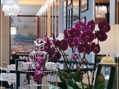 -人间采蜜(海信广场店)