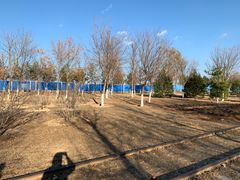 -永定河休闲森林公园