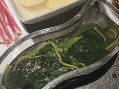 -蒙都43°9羊火锅(平庄店)