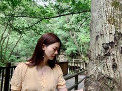 -牛背梁国家森林公园