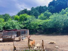 -北京山里寒舍度假酒店